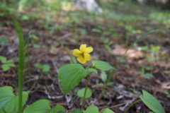 DSC_0161-scaled