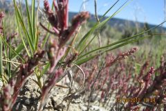 chilcotin-2nd-009-scaled