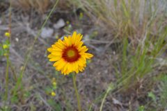 dsc_0263-2-scaled