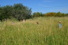 llh-photos-aug-29-2012-3-1-scaled